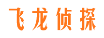 平邑私家侦探公司